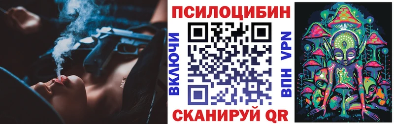 Галлюциногенные грибы Psilocybine cubensis  хочу наркоту  Салаир 
